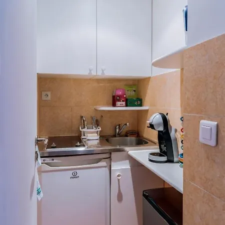 Comfortable Studio With Balcony In 16th Appartement *